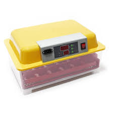 Couveuse automatique 48